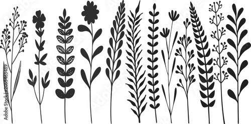 Wheat field vector illustration with wheat ears on black background seamless floral nature pattern design with leaves and vintage decorative texture