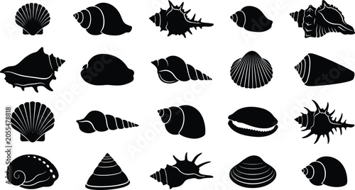 Seashell Icons Set with Black Silhouettes of Shells, Conch, Mollusks, and Sand Dollars on White Background