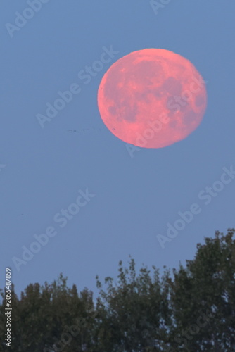 tramonto della luna