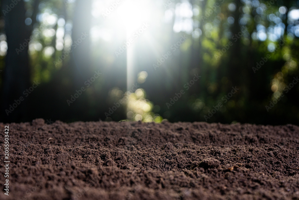 Naklejka premium Fertile soil with natural earth background. Agricultural field with cultivated ground. Compost and organic fertilizer. Fertile land. Preparing soil for cultivation. Natural humus fertility.