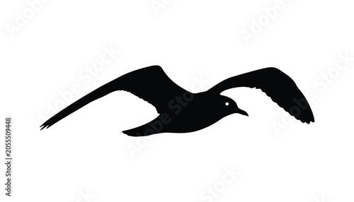 Black bird flying silhouette