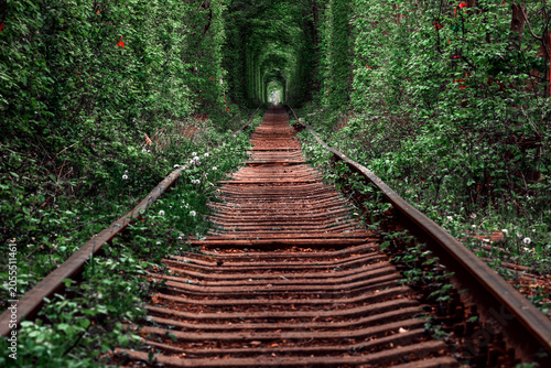 a railway in the spring forest. Tunnel of Love, green trees and the railroad