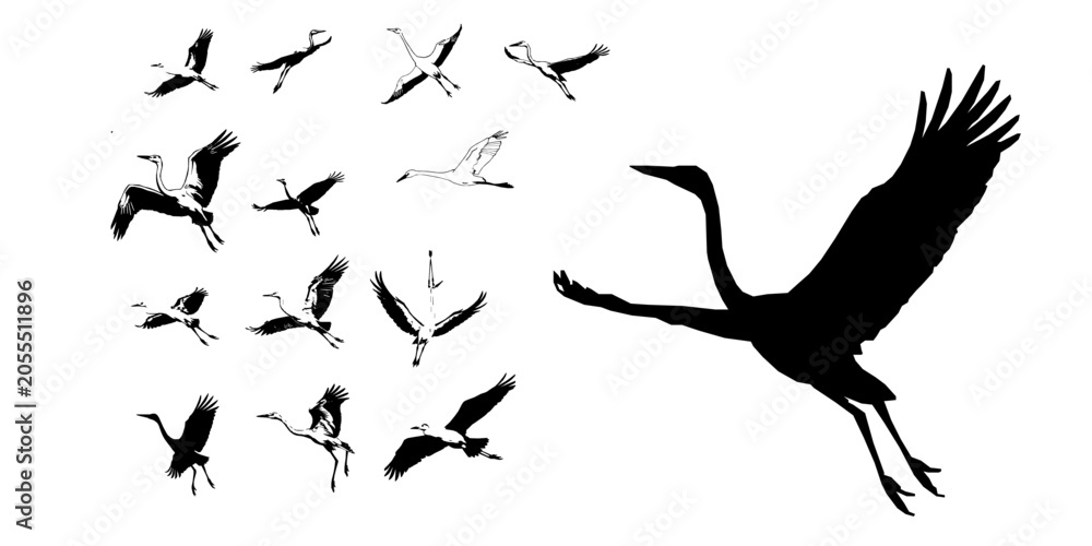 Fototapeta premium Crane Flying Outline Icon