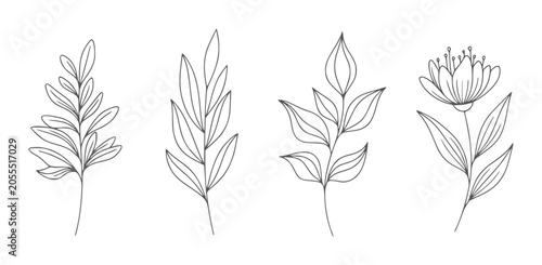 Εκτύπωση καμβά Four delicate line botanical including leaves and a flower outline