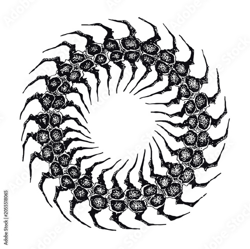 black and white swirl circle