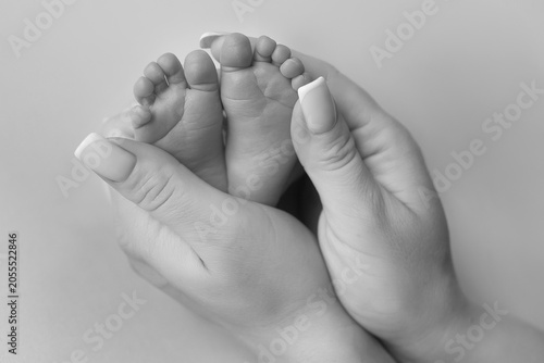 Newborn baby feet held in mother's hands
