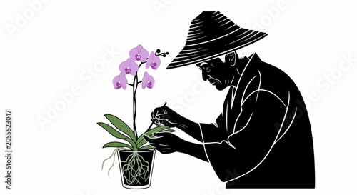 person tending to potted orchid plant
