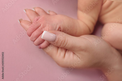 Adult Hand Holding Baby Hand in Black and White