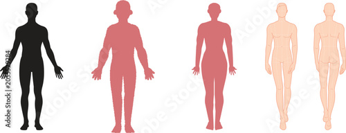 Bilde på lerret Collection of human body silhouettes and anatomical figure templates for design projects