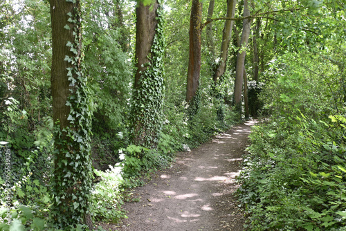eppelsheim, effenkranz