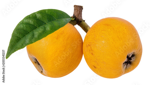 Schilderij op canvas Isolated delicious ripe orange loquat fruits with vibrant green leaf and stem