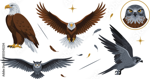 Tableau sur toile Predatory Birds Vector Illustration Set Featuring Bald Eagle, Flying Falcon, Wis