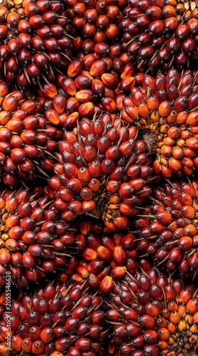Vertical shot of ripe oil palm fruits bunch for mobile wallpaper background