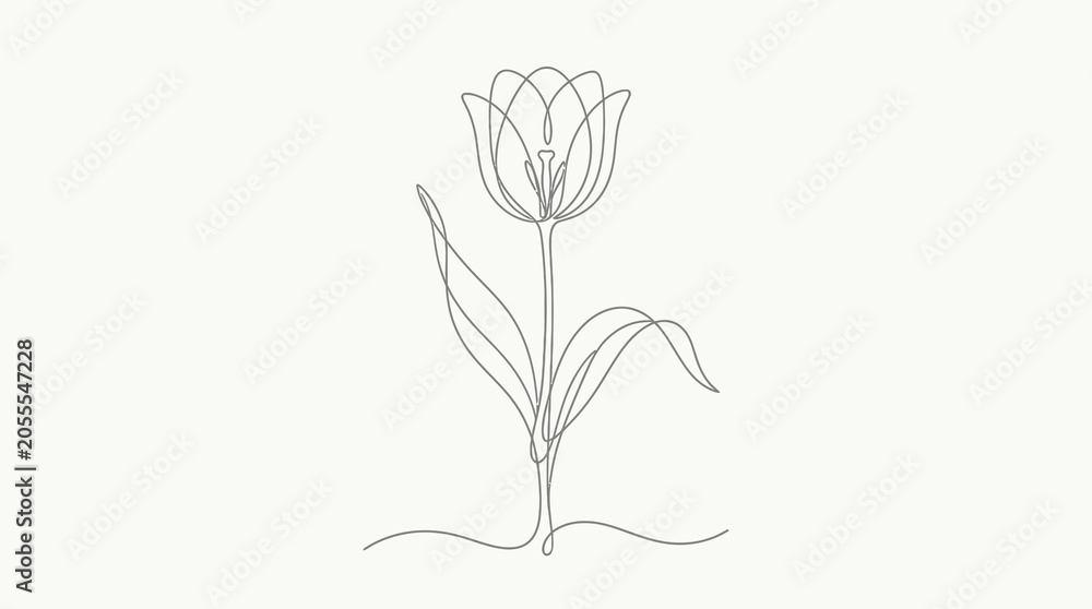 Obraz premium Minimalist tulip line art elegant single flower botanical illustration for modern spring decor and graphic design