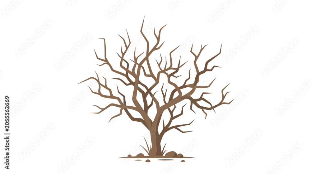 Fototapeta premium Bare leafless tree silhouette isolated on white background.