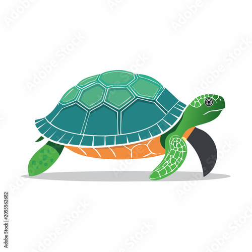 Green Sea Turtle Illustration