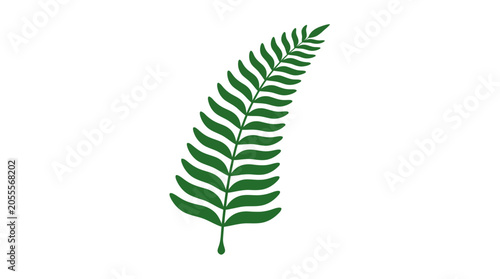 Εκτύπωση καμβά Green fern leaf frond botanical illustration.