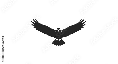 Fotografie Silhouette of a Hawk in Flight