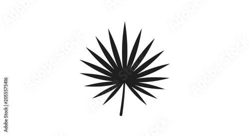 Black Palm Leaf Silhouette on White Background