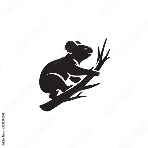Photography Koala on branch, Fuzzy ears silhouette, Holding tree trunk, Sitting koala shape