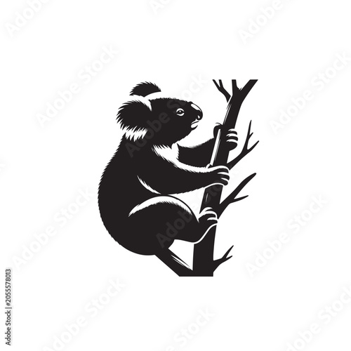 Photography Koala on branch, Fuzzy ears silhouette, Holding tree trunk, Sitting koala shape