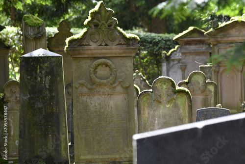 alter friedhof
