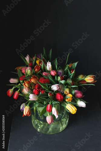 Large mixed tulip bouquet in glass vase with red, yellow, orange, pink, purple and white varieties including parrot tulips, dark background - vibrant spring shot