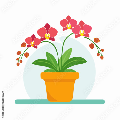 Potted Orchid Plant with Red Flowers