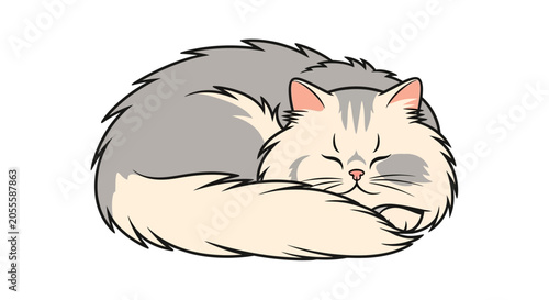 Obraz na płótnie Sleeping Cat Curled Up Tightly Asleep.
