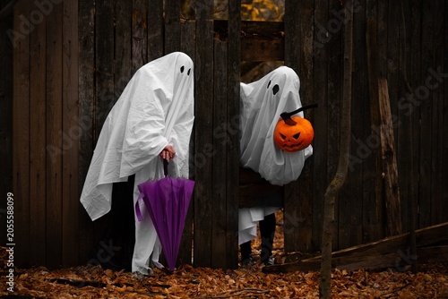Halloween two ghost