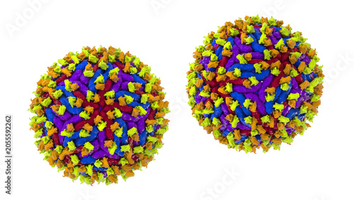 Obraz na płótnie Dengue virus bound with neutralizing human antibodies, 3D illustration showing flavivirus particles coated by immunoglobulins, illustrating antiviral immune response