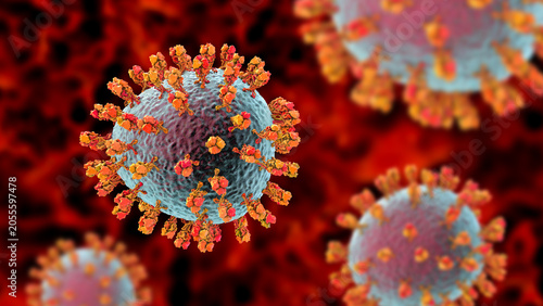 Junin virus particle, 3D illustration showing enveloped arenavirus with granular ribonucleoprotein structure, causative agent of Argentine hemorrhagic fever.