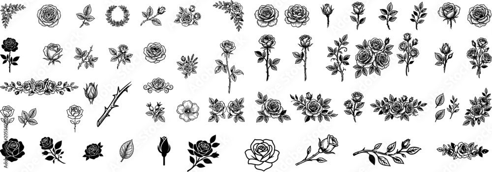 Obraz premium Collection of black and white rose illustrations and floral designs