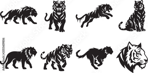Foto Fierce aggressive tigers running roaring and pouncing