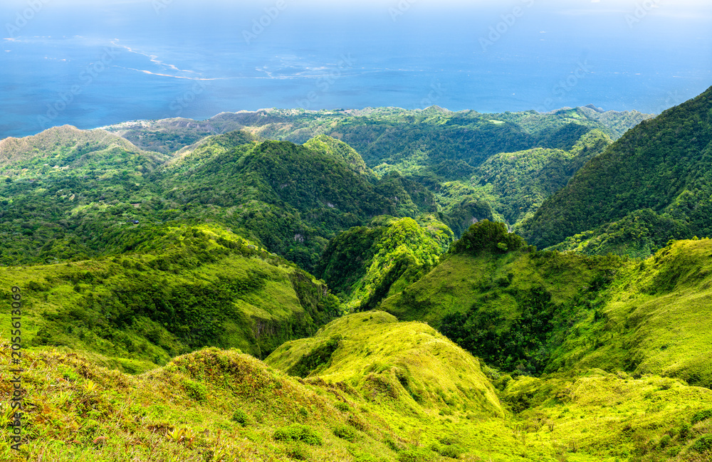 Fototapeta premium Vibrant green volcanic slopes of Mount Pelee descend to the blue Caribbean Sea under a bright sky in Martinique, France