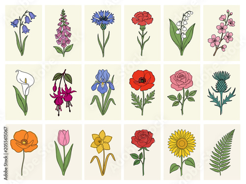 Flower icons set ща 18 colorful botanical collection isolated