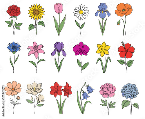 Flower icons set of 18 colorful botanical collection isolated