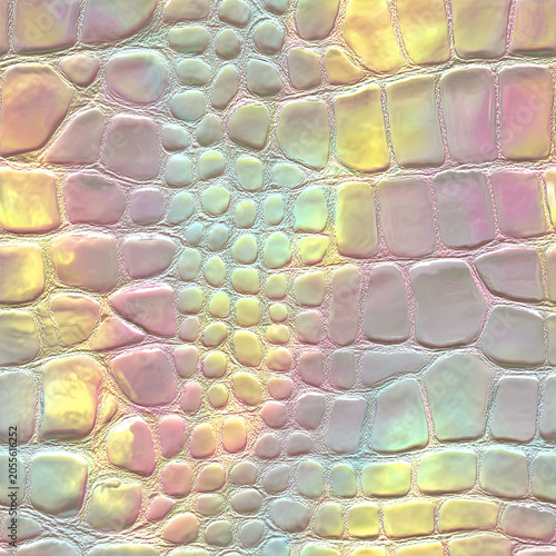 Rainbow Reptile Pattern