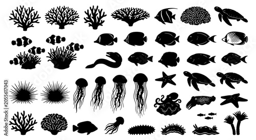 Photography Ocean Life Silhouettes Collection: Coral Reef Fauna, Marine Animals, Sea Creatur