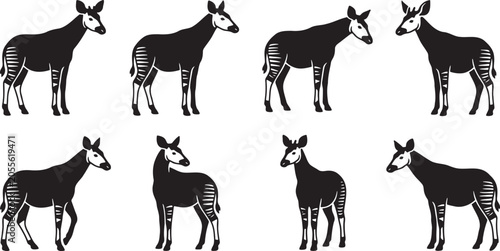 Canvas Print African okapi wild mammals standing elegant silhouettes
