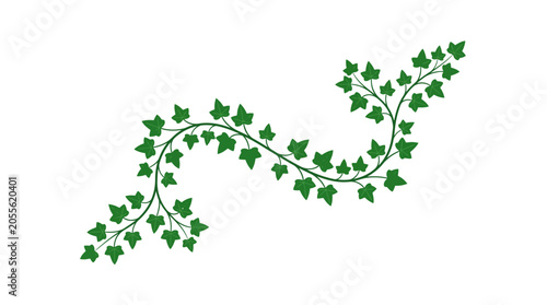 Obraz na płótnie Winding green ivy vine branch with lush leaves.