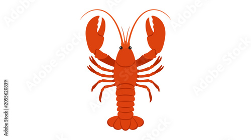 Obraz na płótnie Fresh red lobster crustacean on white background.