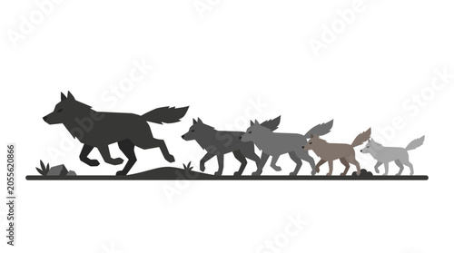 Fotografie A pack of wolves running in silhouette format.