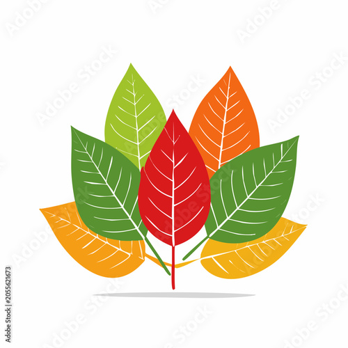 Colorful Autumn Leaves Illustration
