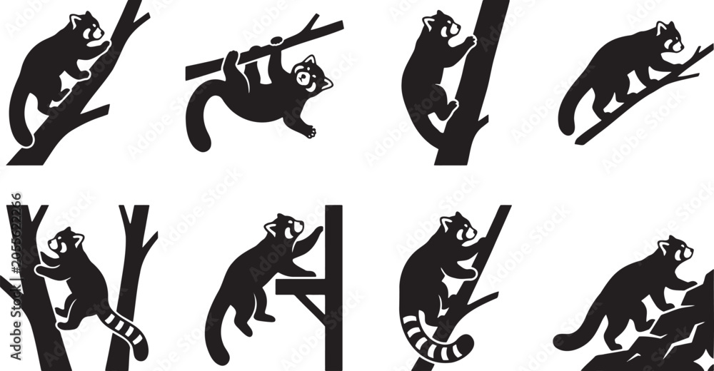 Fototapeta premium Adorable red pandas climbing tree trunks forest wildlife silhouettes