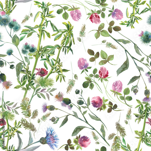 seamless pattern with several types of wild herbs and flowers, cornflower, red clover, thistle, grass, 