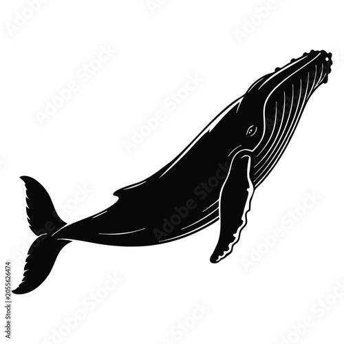 Foto Sperm whale silhouette in vector graphics style showing a predatory marine mammal
