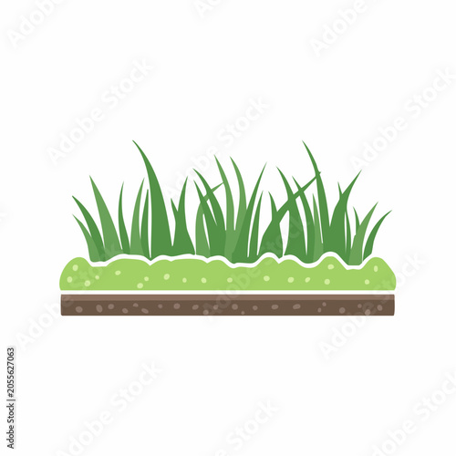 Illustration of green grass growing from soil