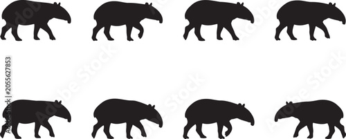 Photography Black silhouette collection of wild tapirs or capybaras walking in profile seque