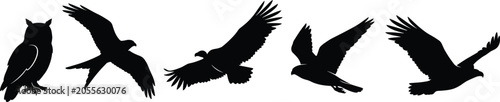 Birds of prey silhouette collection featuring owl eagle hawk falcon and vulture flying isolated on white background